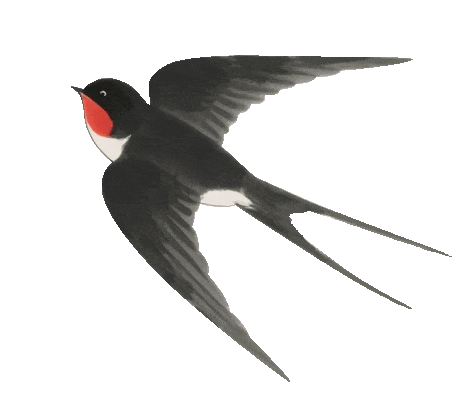 清明高速免费3天,7座及以下小车全免