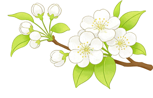 清明高速免费3天,7座及以下小车全免