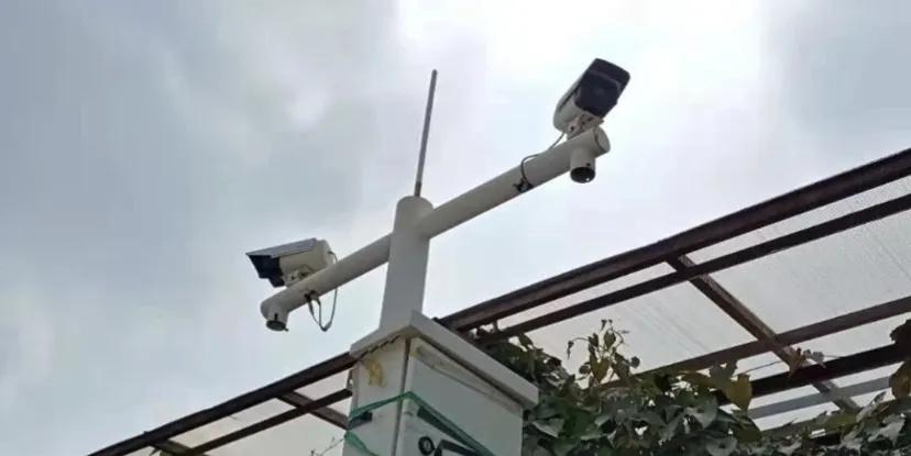 现代交通管理变革:违章摄像头如何保障道路安全与畅通?