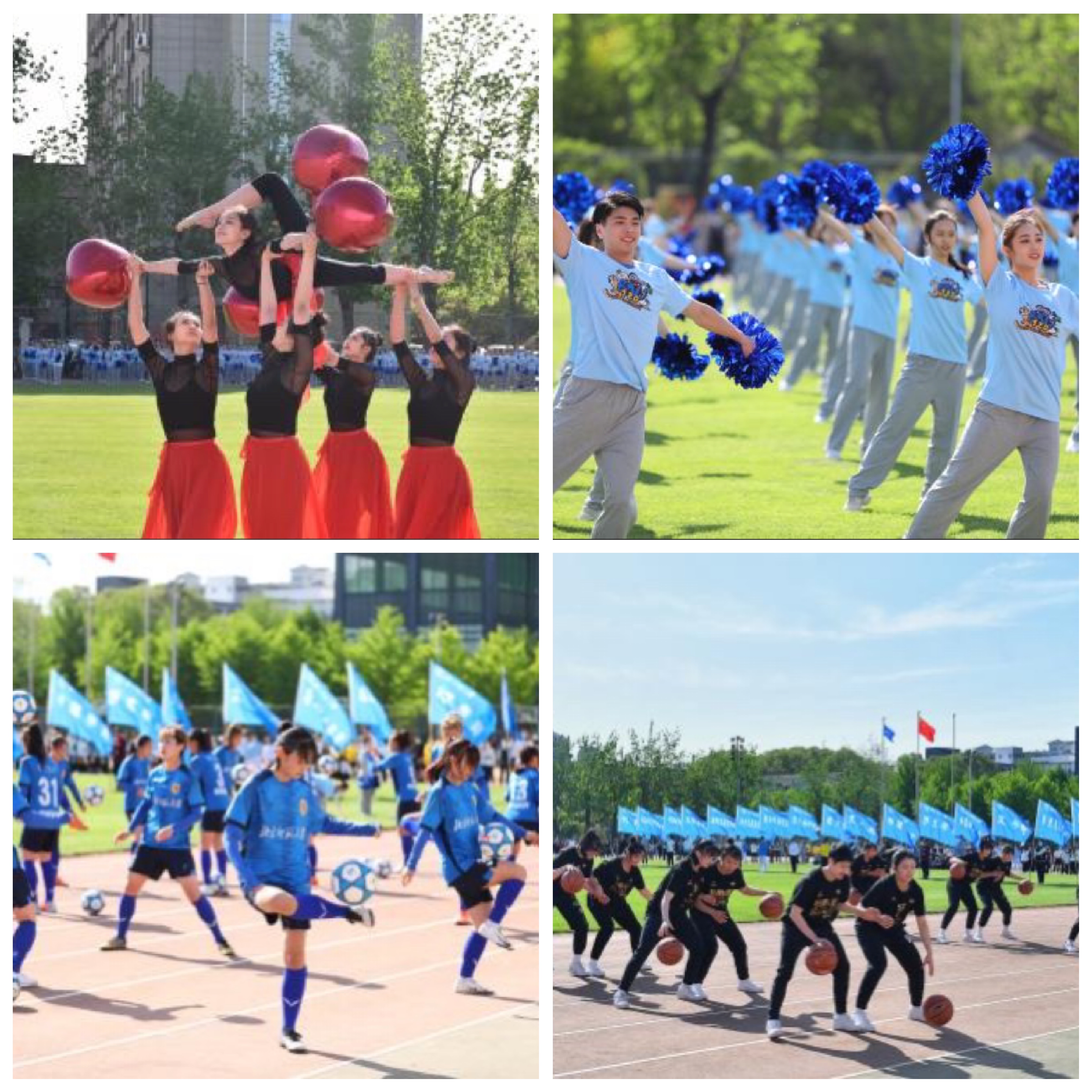 北京师范大学运动会开幕,精彩展示与奖项揭晓,女足成绩耀眼