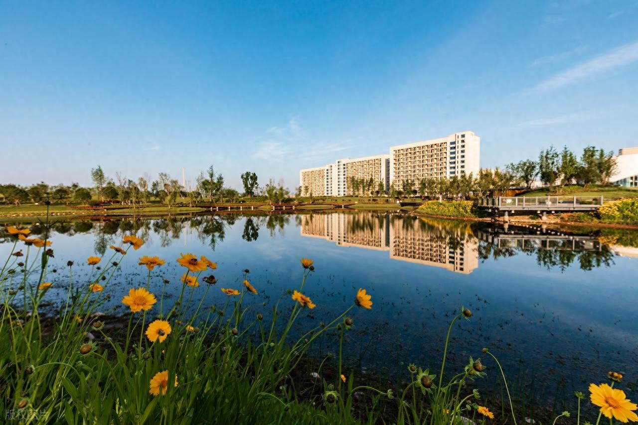 物理化学政治选科组合分析，适合哪些学生及对考研考公有何帮助？